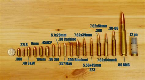 Bullet Sizes, Calibres, and Types | Out There Adventures