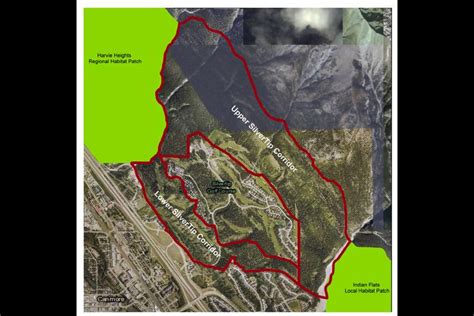 Land transfer in Canmore wildlife corridor turned down - Bow Valley News