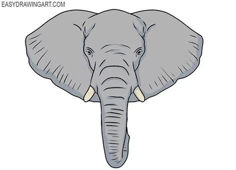 How to Draw an Elephant Face - Easy Drawing Art