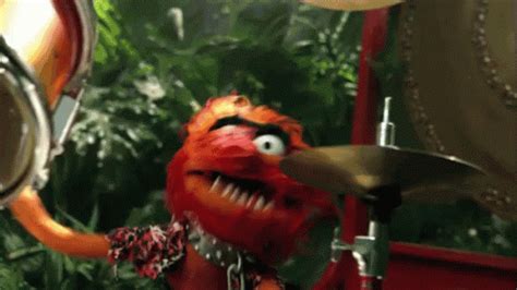 Drumming GIF - TheMuppets Animal Drum - Discover & Share GIFs