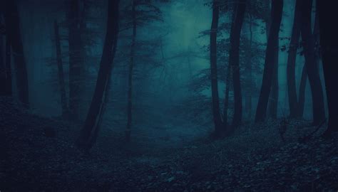 Markoff's Haunted Forest | Haunted attraction Maryland | 19120 ...