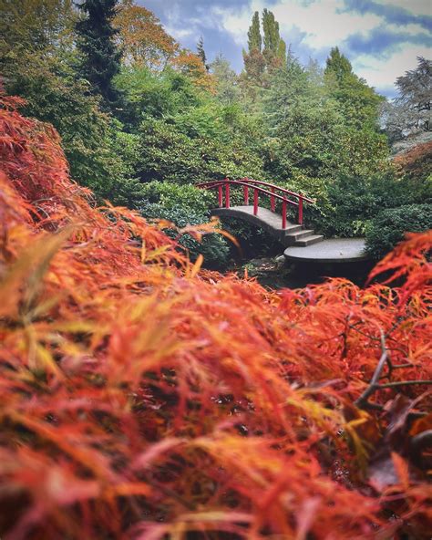Japanese gardens, Seattle Washington [OC] : r/LandscapePhotography