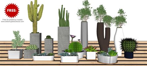 14 SketchUp 3D plants in pots - collection #2 - by SketchUp Texture Team - #1492 ...