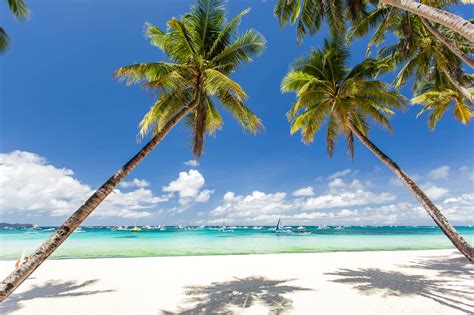 White Sand Christmas: Your Boracay Holiday Guide