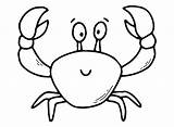 Crab Drawing Coloring Outline Pages Printable Template Krab Kids Baby  sketch template