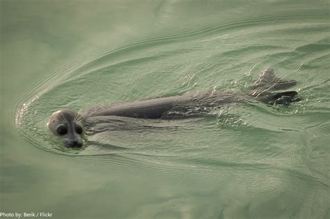 Interesting facts about the Caspian Sea | Just Fun Facts