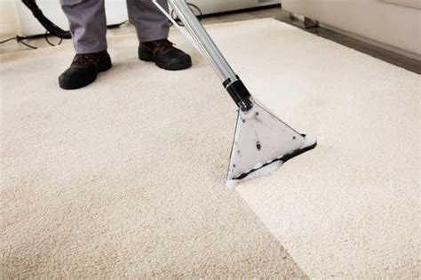 Get Rid of Stubborn Buildup with Our Carpet Steam Cleaning | Steam Source