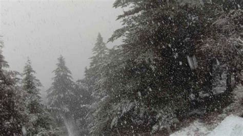 Photo gallery: Season's heaviest snowfall in Mussoorie, Dhanaulti; several tourists stranded ...