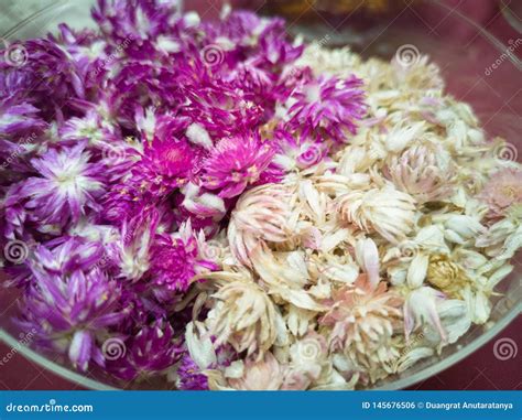 Dry Globe Amaranth, Dried Blossoms for Aromatherapy, Potpourri - Image ...