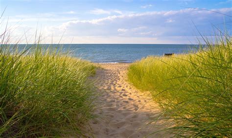 Spend a Day at a Michigan Beach - MARVAC