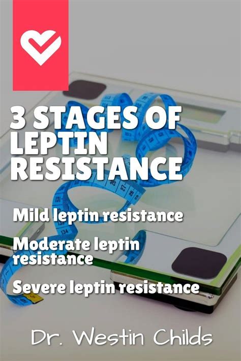 Pin on Leptin Resistance (Treatment + Supplements)