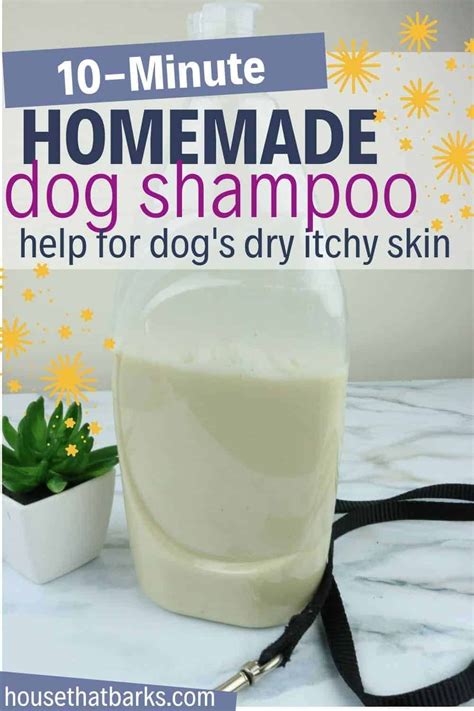 Dog Itchy Skin Remedy, Dog Skin Remedies, Dog Itching Remedies, Dry Itchy Skin, Homemade Dog ...