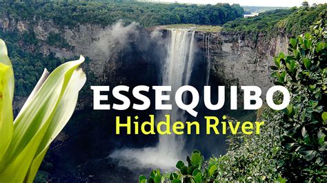 Watch Essequibo - Hidden River - S1:E1 The Vast Delta (2019) Online | Free Trial | The Roku ...