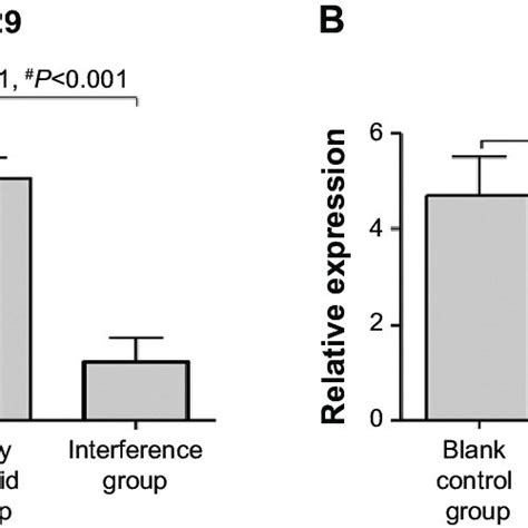 The transfection efficiency of HT-29 and HCT-116 after the transfection ...