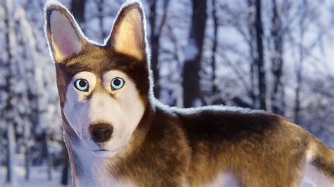 Siberian Husky - Finished Projects - Blender Artists Community