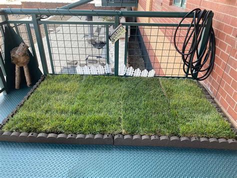 How to Grow and Maintain Real Grass on a Balcony - Balcony Boss