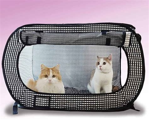 The Best Cat Carrier for Two Cats: 7 Top Picks - Travel Tabby