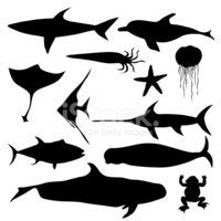 Aquatic Animals Stock Clipart | Royalty-Free | FreeImages