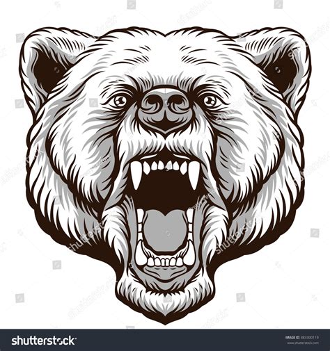 Angry Bear Head Vector Illustration: vector de stock (libre de regalías ...