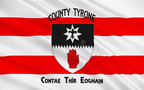 Flag of County Tyrone is a County in Ireland Stock Illustration ...