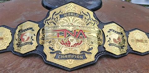 here is the new TNA World Heavyweight Championship : r/deadlockpw