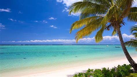 Mauritius, an island of adventure: Travel Weekly