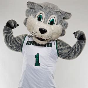 SUNY Mascot Madness