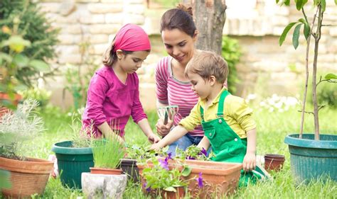 Gardening With Kids: How It Affects Your… | PBS KIDS for Parents