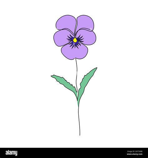 Violet flower on white Stock Vector Image & Art - Alamy