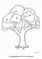 Best Ideas For Coloring Oak Tree Page  The Porn Website sketch template