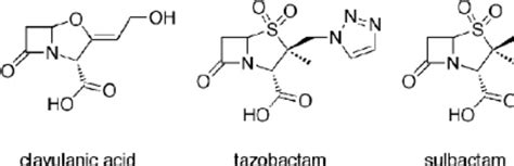 Structures of clinically used ␤ -lactamase inhibitors. | Download ...