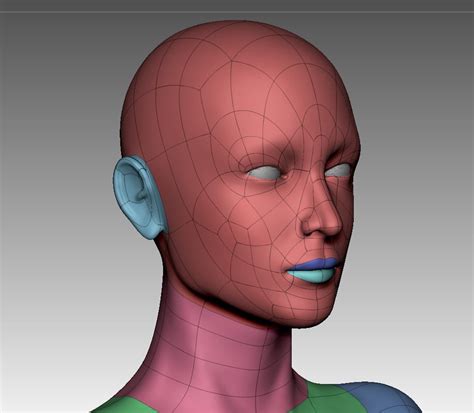 base mesh for sculpting? — polycount