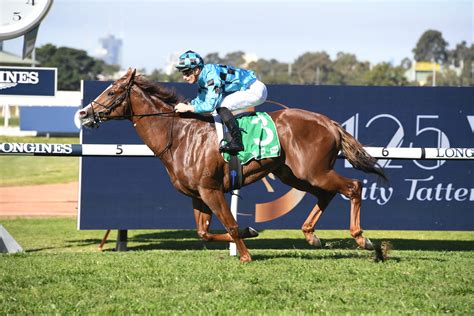 2020 Coolmore Stud Stakes Tips - Neds Blog