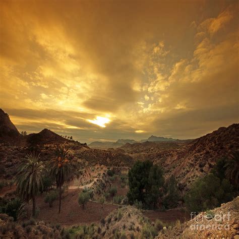 Spanish Landscape Photograph by Angel Ciesniarska