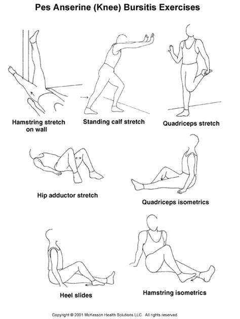 Sports Medicine Advisor 2003.1: Pes Anserine (Knee) Bursitis Exercises: Illustration