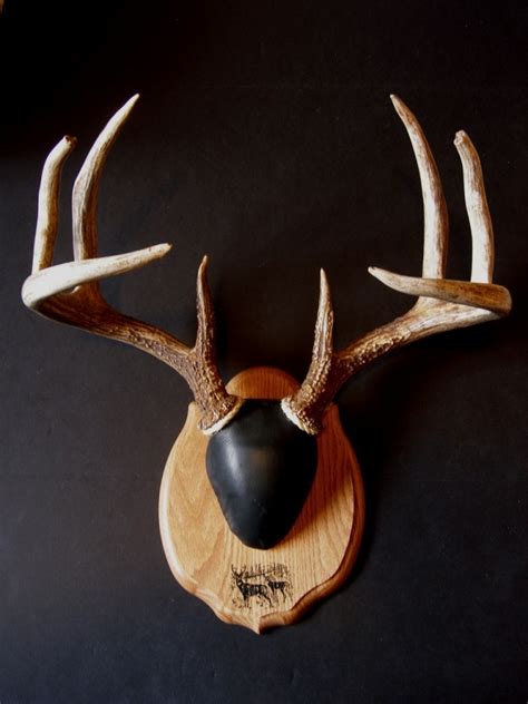 Antler Mount Kit- Laser Engraved Deer - Bear Scents