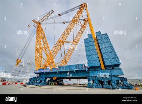 Big carl crane hi-res stock photography and images - Alamy