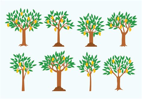 Mango Tree Vector 133458 Vector Art at Vecteezy