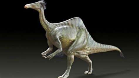 Bones show mysterious dinosaur was a 'goofy' duckbill giant | CTV News