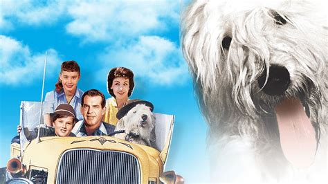 The Shaggy Dog (1959) — The Movie Database (TMDB)