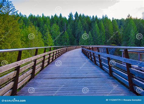 Kinsol Trestle Railroad Bridge in Vancouver Island, BC Canada. Stock ...