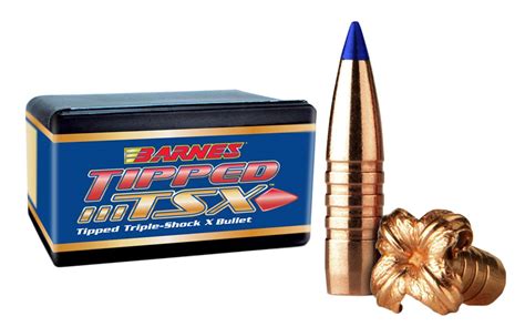 Barnes Bullets 30176 TSX22 Caliber .224 45 GR TSX Flat Base | Wisconsin ...