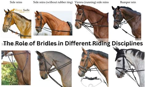 The Role of Bridles in Different Riding Disciplines