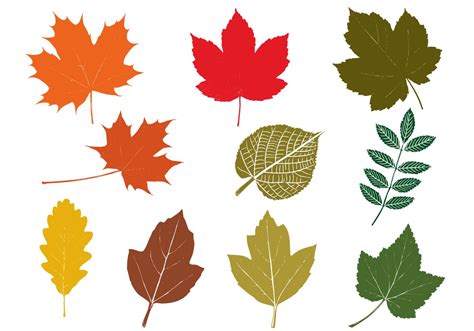 Related image | Thanksgiving drawings, Autumn leaves, Leaf cutout