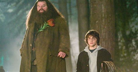 Potter Talk: Harry Potter's Father Figures