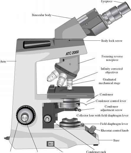 Key components of the compound microscope - Nuclear Matrix