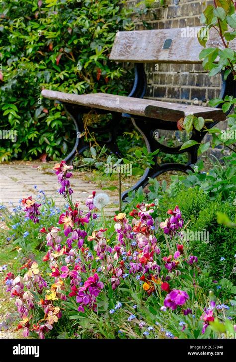 Wooden park bench in front of brick wall with green shrubs next to it ...