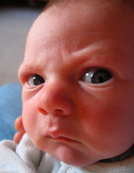 Angry baby face |Funny Pics