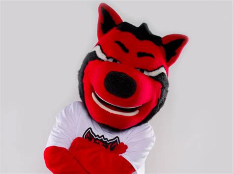 A-State's Mascot Howl Qualifies for the UCA Collegiate Nationals