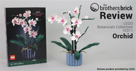 LEGO Botanical Collection 10311 Orchid - beauty comes in many shapes [Review] - The Brothers ...